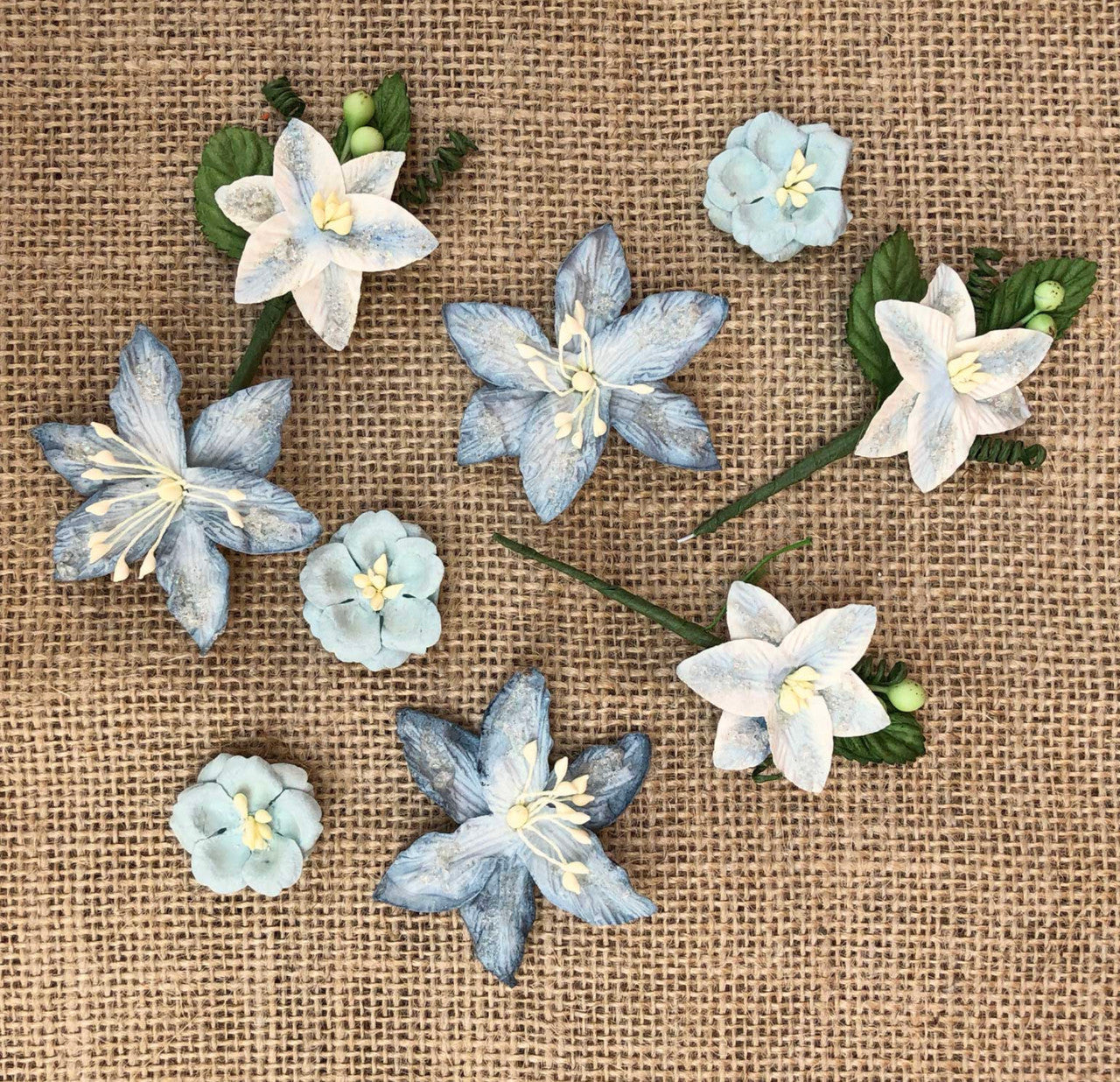 49 en Market Stargazers hemelsblauw